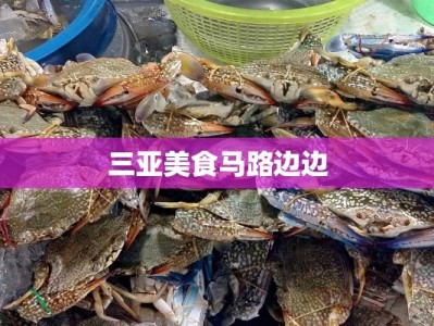 三亚美食马路边边