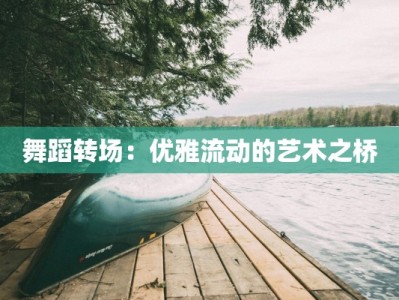 舞蹈转场：优雅流动的艺术之桥