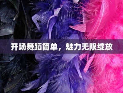 开场舞蹈简单，魅力无限绽放