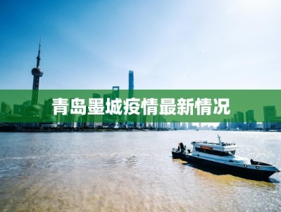 青岛墨城疫情最新情况