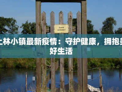 上林小镇最新疫情：守护健康，拥抱美好生活