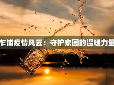 乍浦疫情风云：守护家园的温暖力量