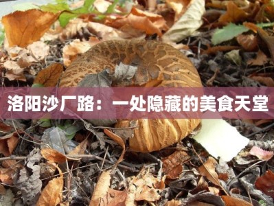 洛阳沙厂路：一处隐藏的美食天堂