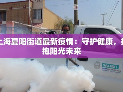 上海夏阳街道最新疫情：守护健康，拥抱阳光未来