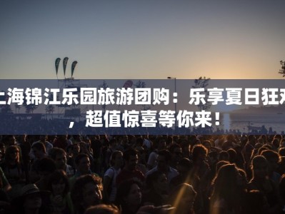 上海锦江乐园旅游团购：乐享夏日狂欢，超值惊喜等你来！