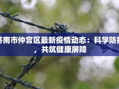 济南市仲宫区最新疫情动态：科学防控，共筑健康屏障