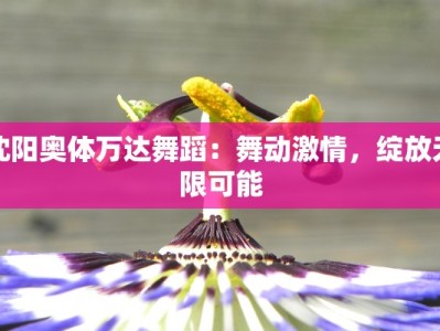 沈阳奥体万达舞蹈：舞动激情，绽放无限可能