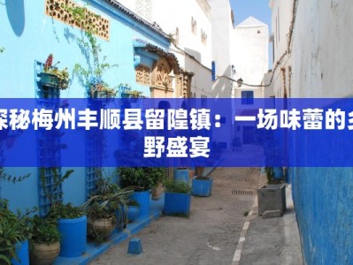 探秘梅州丰顺县留隍镇：一场味蕾的乡野盛宴