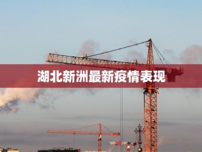 湖北新洲最新疫情表现