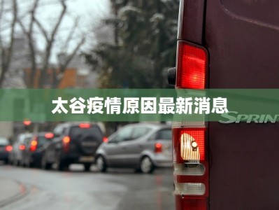 延边农商行最新疫情：稳健前行，守护民生