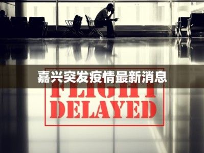 甘南青海疫情最新消息：安心出行，守护健康之旅