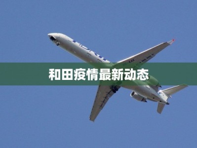 和田疫情最新动态