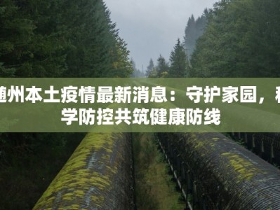 随州本土疫情最新消息：守护家园，科学防控共筑健康防线