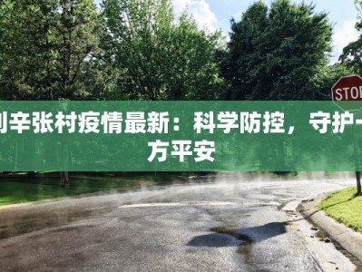 利辛张村疫情最新：科学防控，守护一方平安