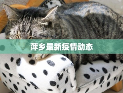 萍乡最新疫情动态