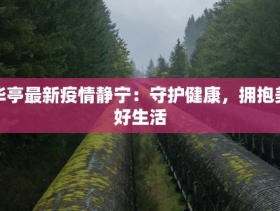 华亭最新疫情静宁：守护健康，拥抱美好生活