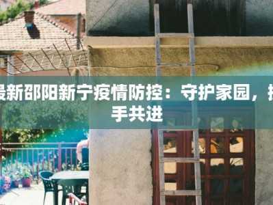 最新邵阳新宁疫情防控：守护家园，携手共进
