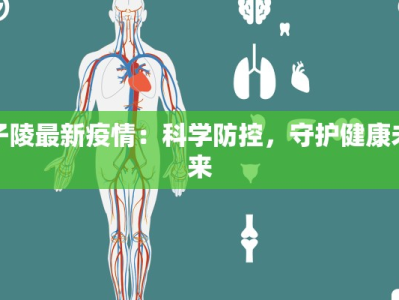 子陵最新疫情：科学防控，守护健康未来