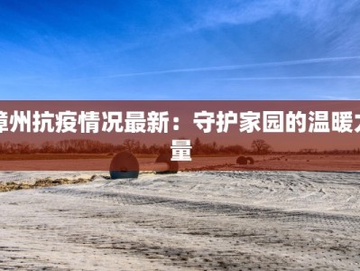 漳州抗疫情况最新：守护家园的温暖力量