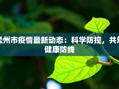 孟州市疫情最新动态：科学防控，共筑健康防线