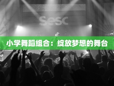 小学舞蹈组合：绽放梦想的舞台