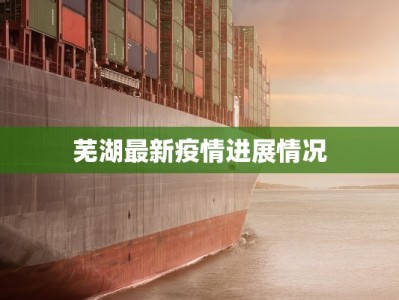 芜湖最新疫情进展情况