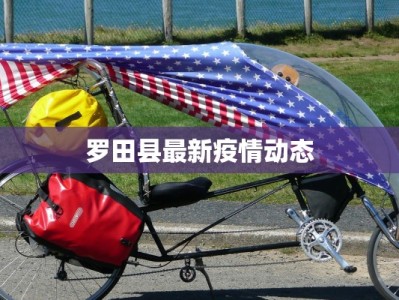 罗田县最新疫情动态