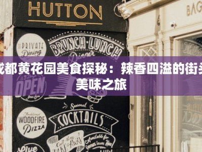 成都黄花园美食探秘：辣香四溢的街头美味之旅