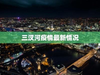 国际外汇最新疫情数据：机遇与风险并存的市场洞察