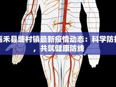 嘉禾县塘村镇最新疫情动态：科学防控，共筑健康防线