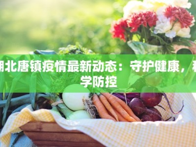 湖北唐镇疫情最新动态：守护健康，科学防控