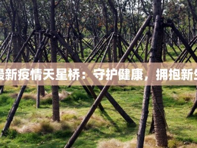 最新疫情天星桥：守护健康，拥抱新生