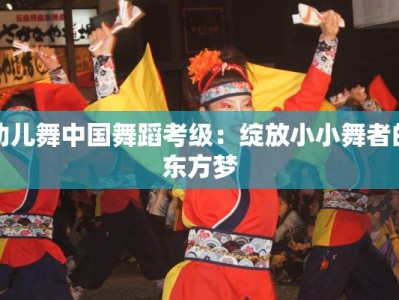 幼儿舞中国舞蹈考级：绽放小小舞者的东方梦