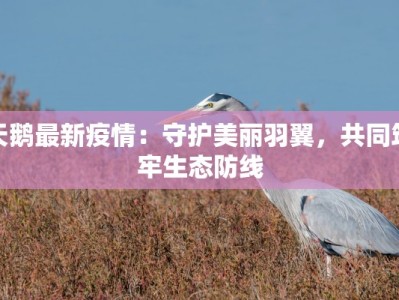 最新疫情爆发瑞丽：守护边陲，携手共克时艰
