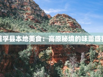 道孚县本地美食：高原秘境的味蕾盛宴