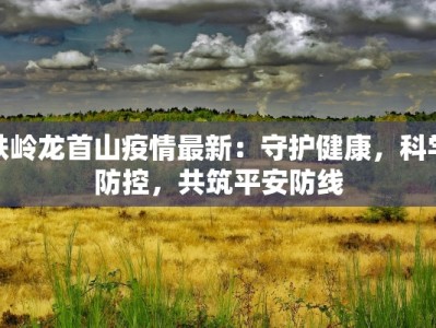 铁岭龙首山疫情最新：守护健康，科学防控，共筑平安防线