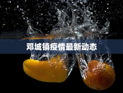 邓城镇疫情最新动态