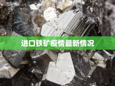 安徽最新疫情最新排名