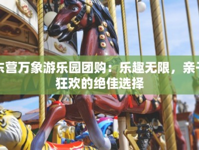 天门西湖烤肉团购群：味蕾的狂欢盛宴，品质的共享天堂