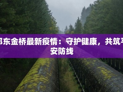 祁东金桥最新疫情：守护健康，共筑平安防线