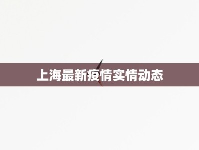 上海最新疫情实情动态