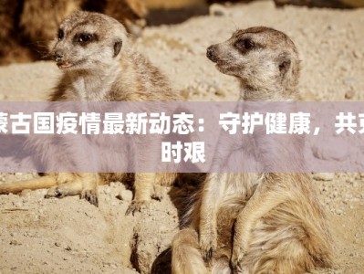蒙古国疫情最新动态：守护健康，共克时艰