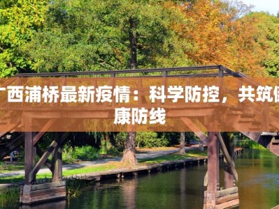 丹东疫情汇总最新