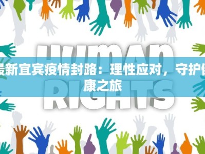 最新宜宾疫情封路：理性应对，守护健康之旅