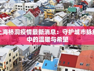 上海桥洞疫情最新消息：守护城市脉络中的温暖与希望