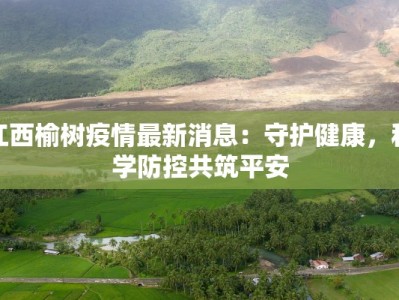 江西榆树疫情最新消息：守护健康，科学防控共筑平安