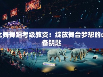 北舞舞蹈考级教资：绽放舞台梦想的必备钥匙