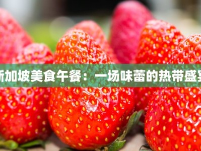 新加坡美食午餐：一场味蕾的热带盛宴