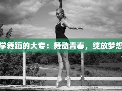 学舞蹈的大专：舞动青春，绽放梦想