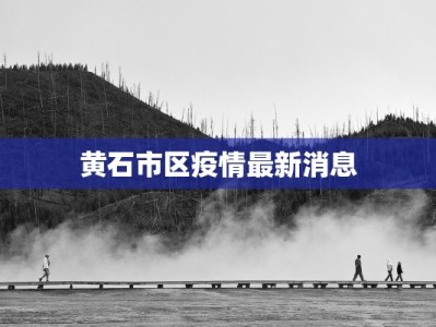 黄石市区疫情最新消息